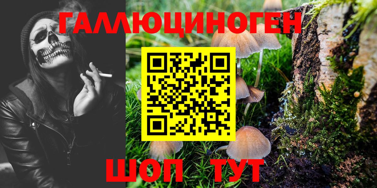 Галлюциногенные грибы GOLDEN TEACHER  Вход с VPN  Бердск 